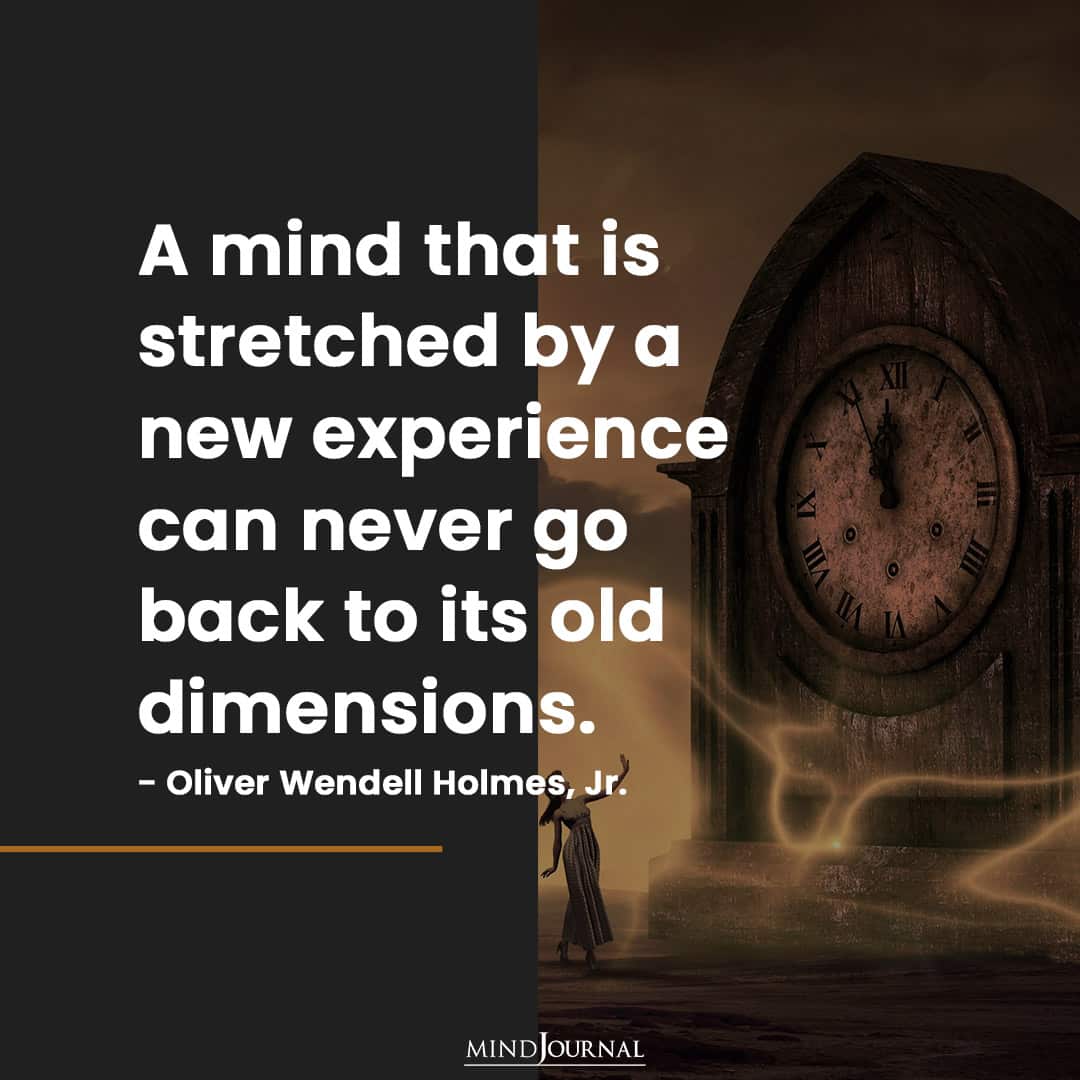 A mind that is stretched by a new experience.