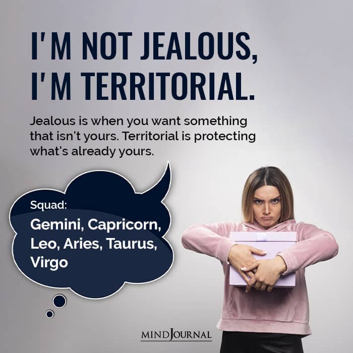 I’m Not Jealous I’m Territorial Zodiac Squad
