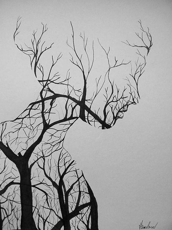 Optical Illusion Trees Womans face