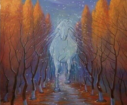 Optical Illusion blizzard trail tree horse