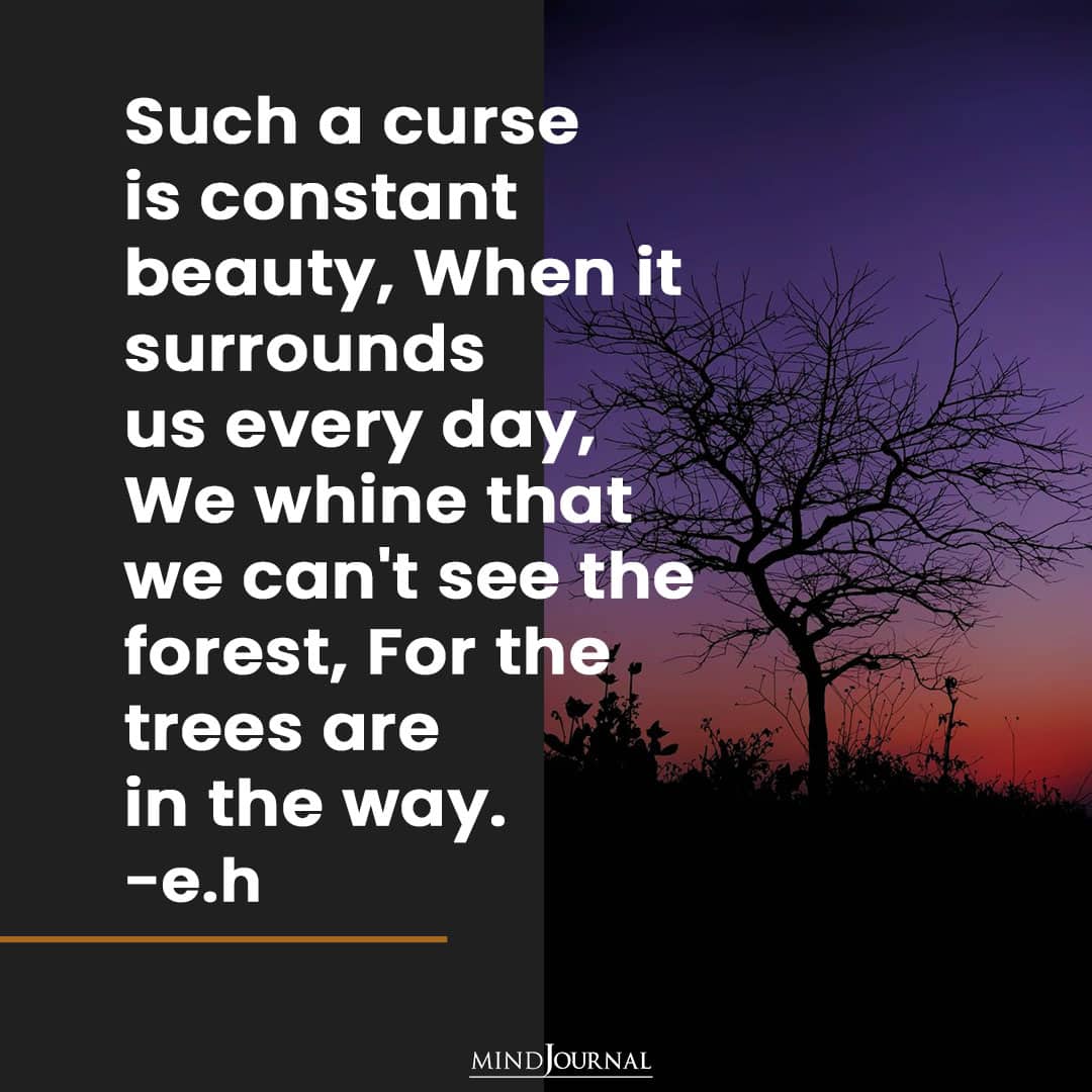 Such a curse is constant beauty.