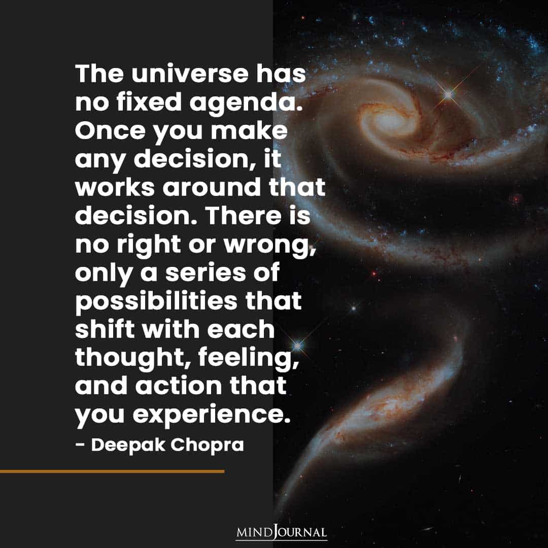 The Universe Has No Fixed Agenda.