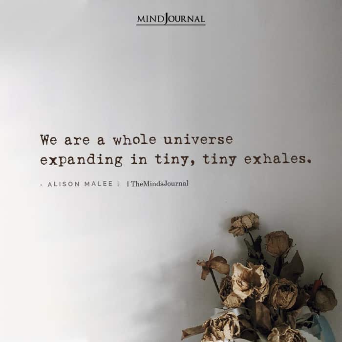 We are a whole universe