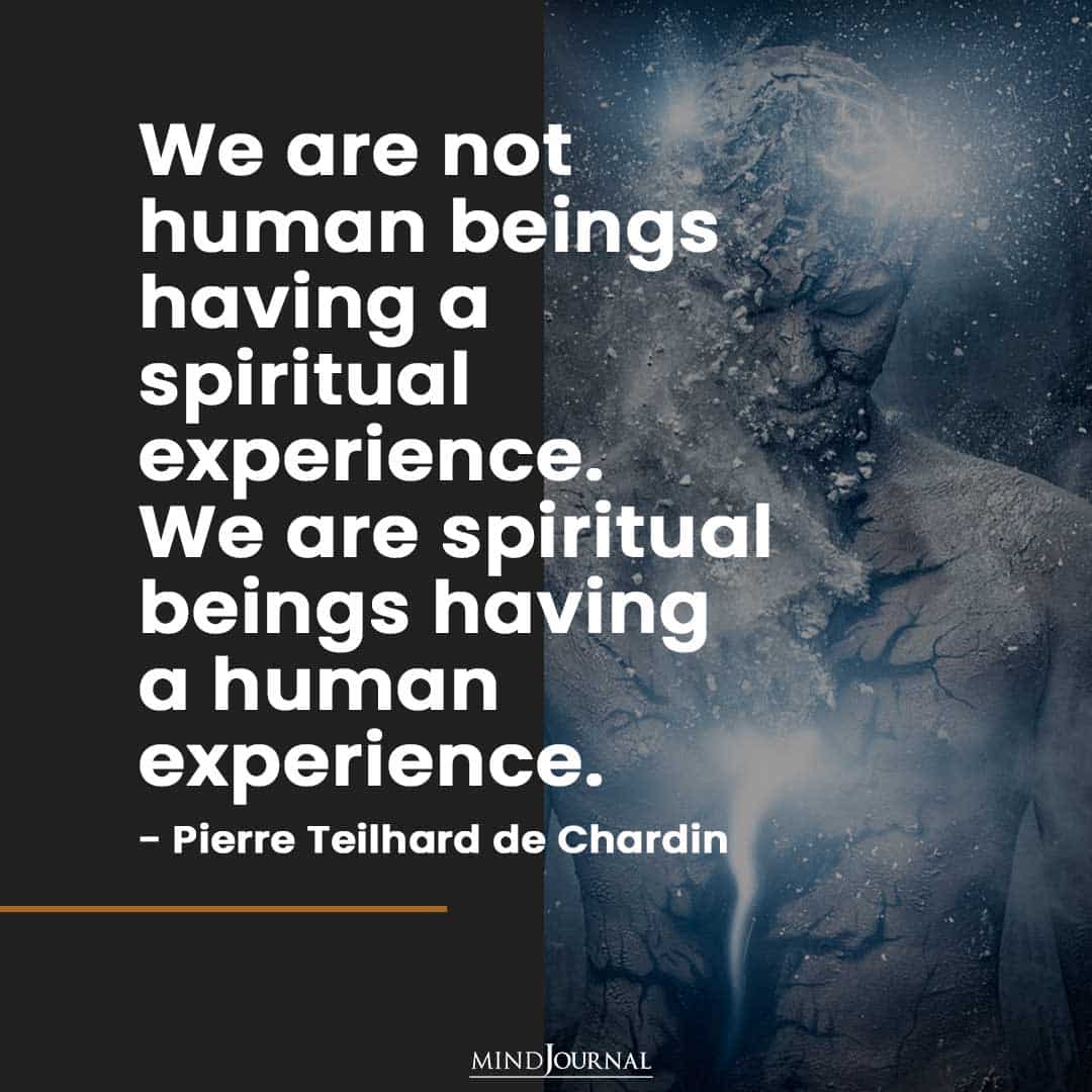 We are not human beings having a spiritual experience.