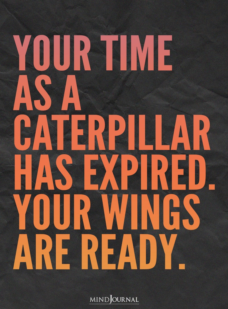 Your Time As A Caterpillar Has Expired.