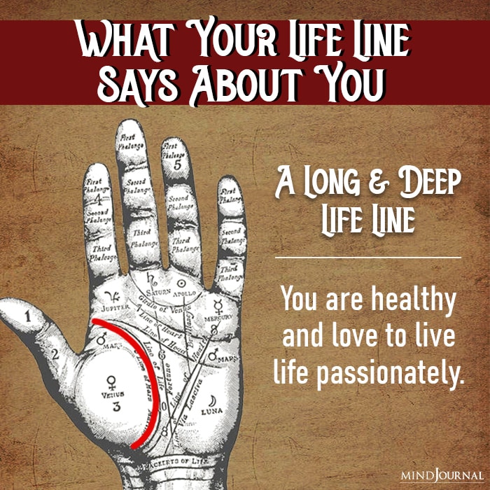 a long and deep life line