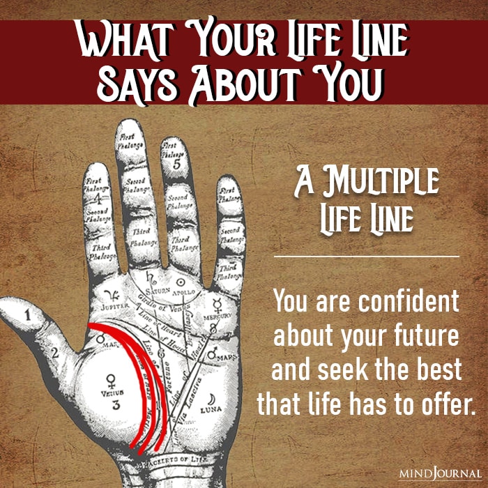 a multiple life line