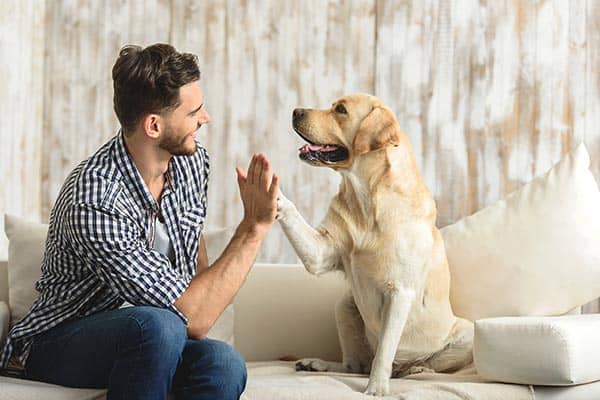 15 Signs Your Dog Loves You, According To Veterinarians