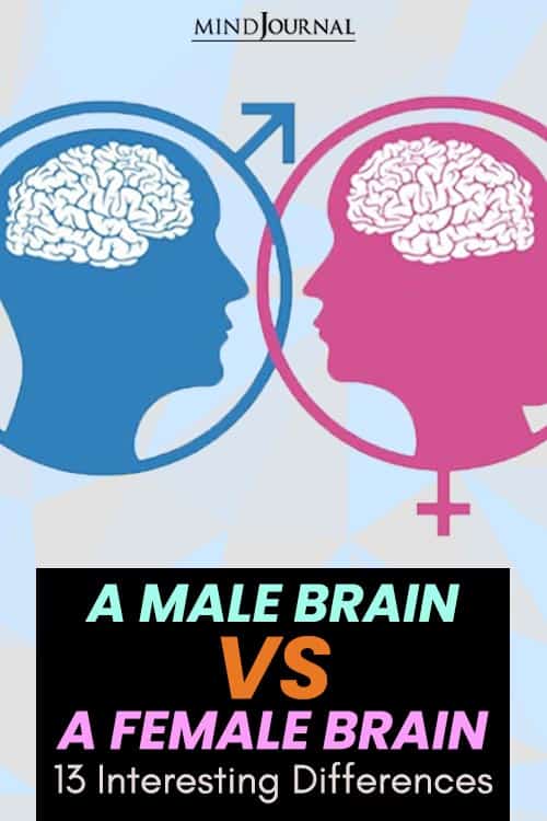 male brain vs female brain  Pin
