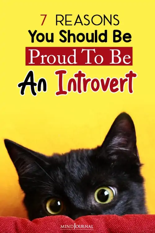 reasons you should be proud introvert pin
