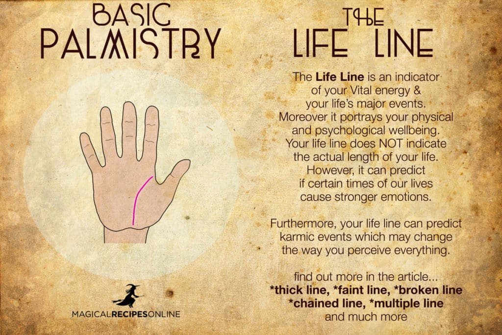 Palm Reading Guide: What Your Life Line Says About You