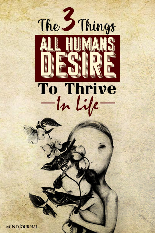 things all humans desire to thrive in life pin