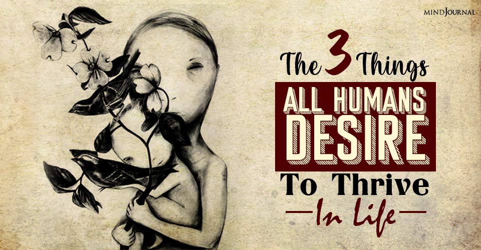 The 3 Things All Humans Desire To Thrive In Life