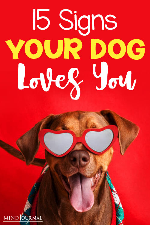 your dog loves you