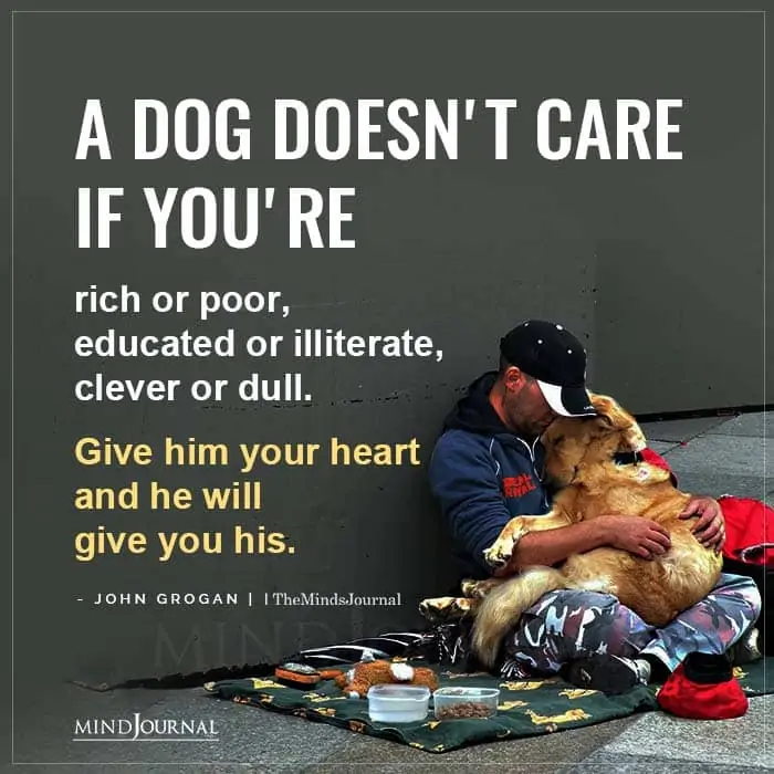 A Dog Doesnt Care If You Are Rich Or Poor
