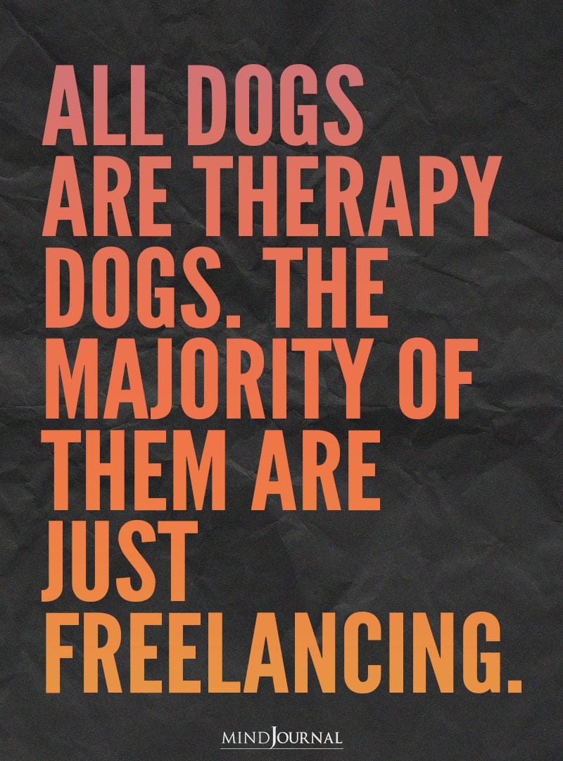 All dogs are therapy dogs.