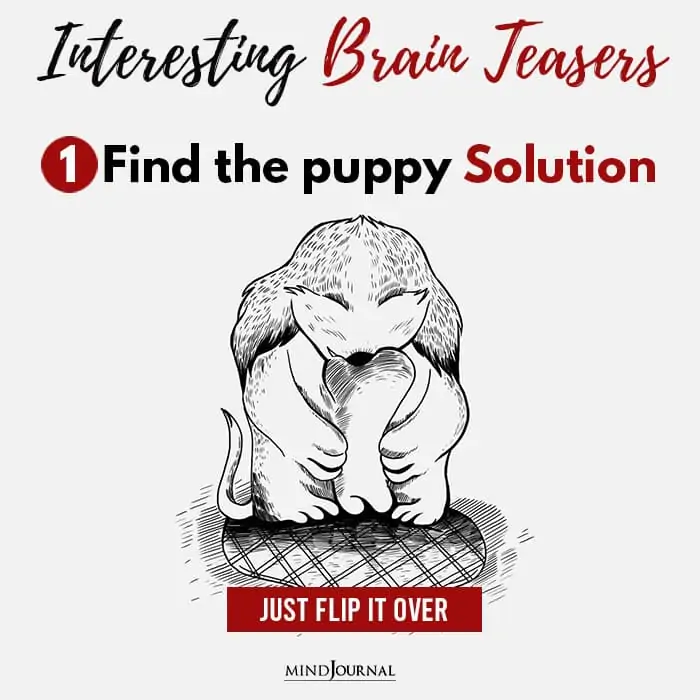 Brain Teasers Know Sharp Eyes Find puppy solution