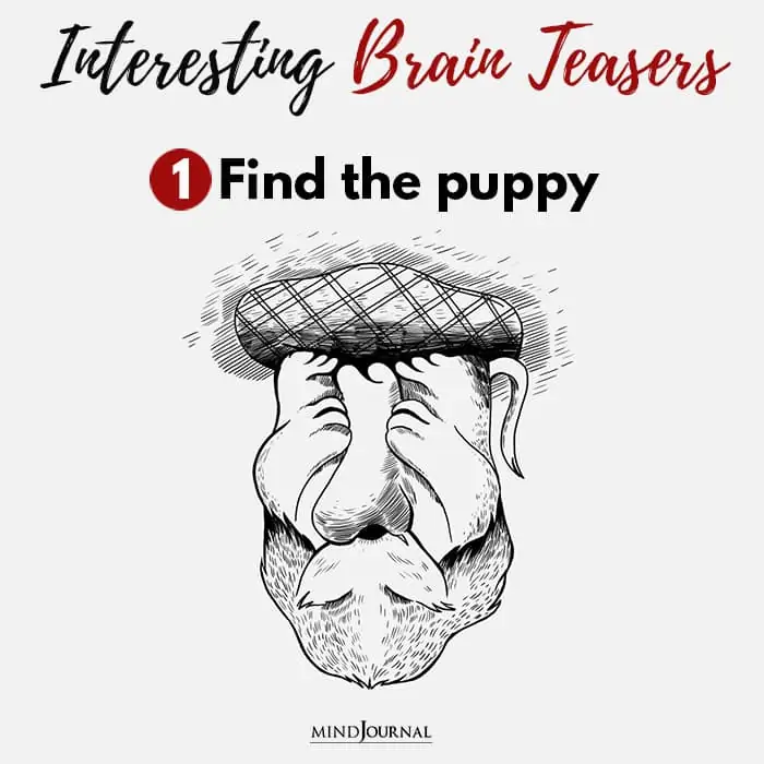 Brain Teasers Know Sharp Eyes Find puppy