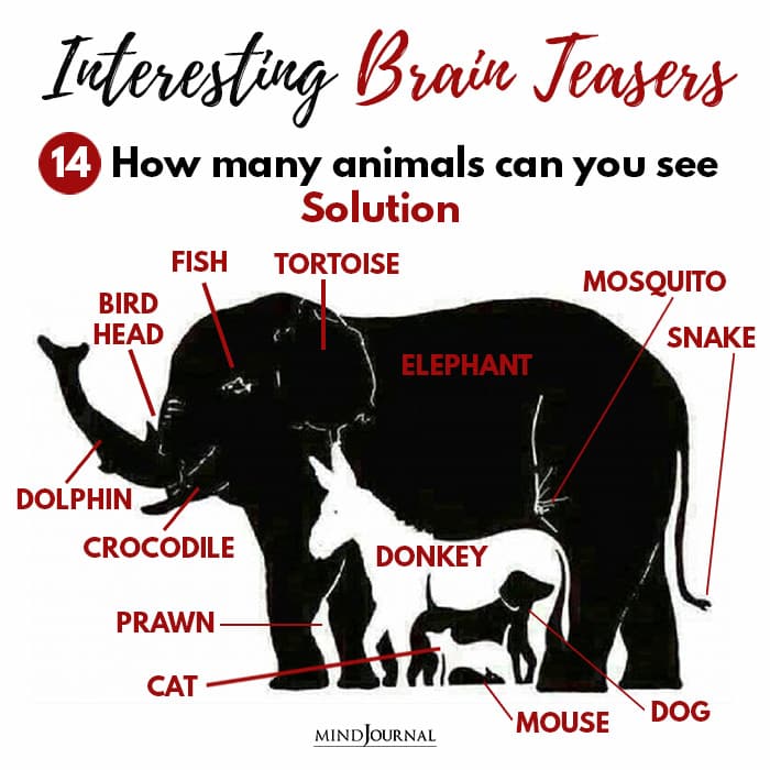 Brain Teasers Know Sharp Eyes animals you see solution