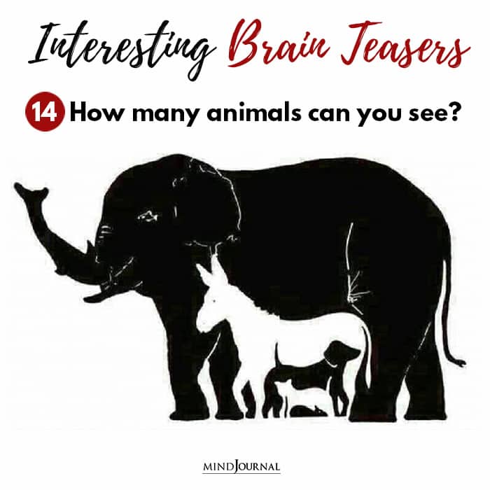 Brain Teasers Know Sharp Eyes animals you see