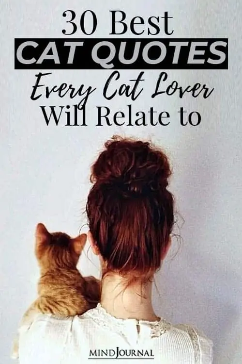 Cat Quotes Every Cat Lovers Will Relate Pin