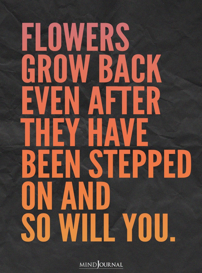 Flowers grow back even after they have been stepped on.