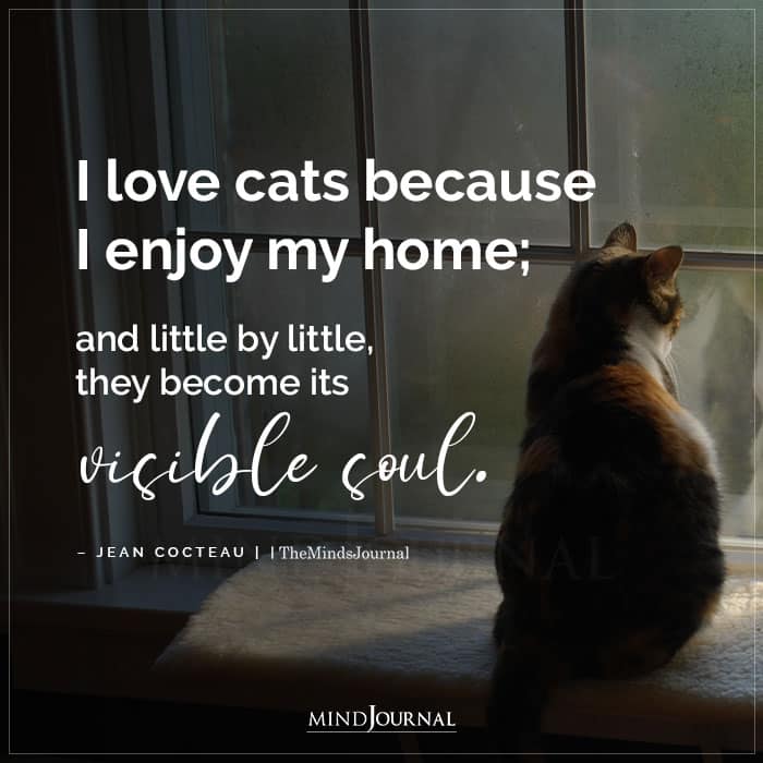 I Love Cats Because I Enjoy My Home