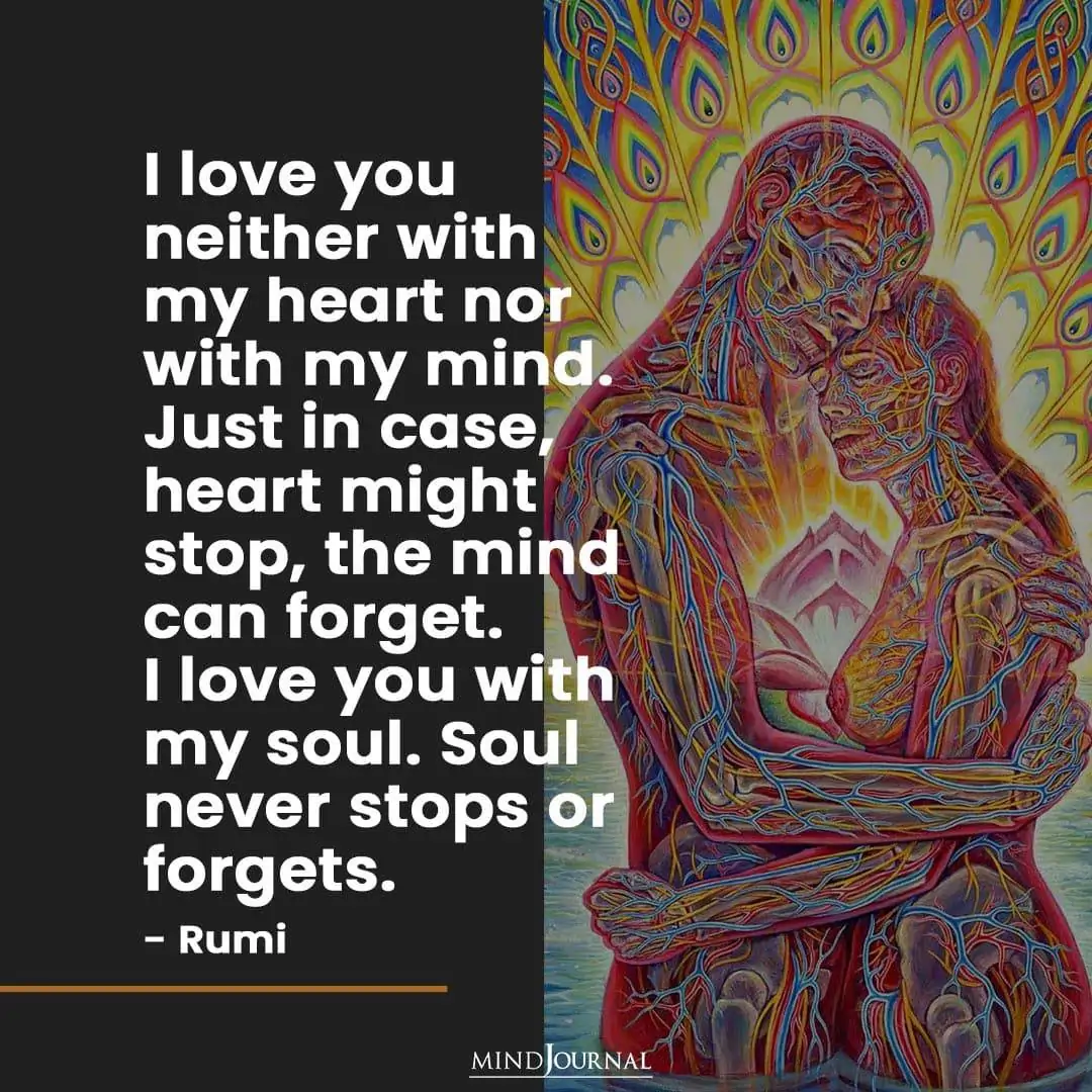 I love you neither with my heart nor with my mind.