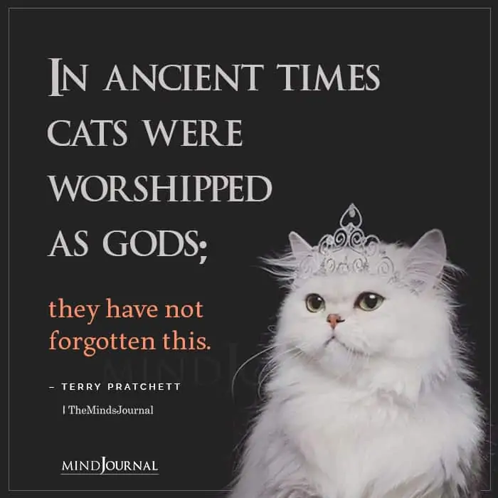In Ancient Times Cats Were Worshipped As Gods