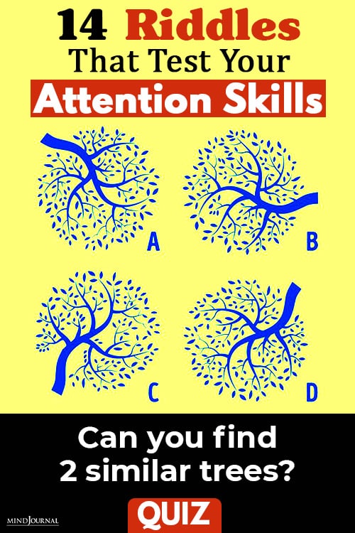 Riddles Test Attention Skill pin