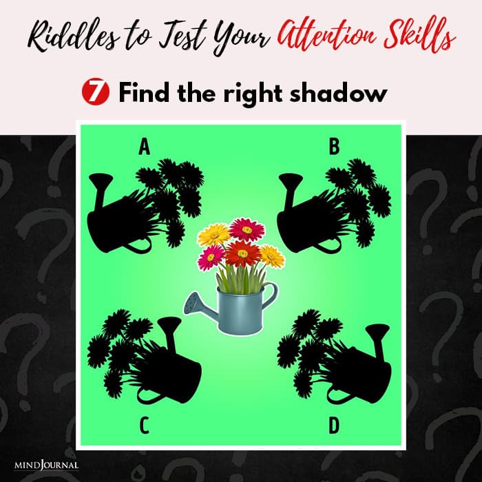 Riddles Test Attention Skills Find shadow