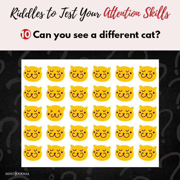 Riddles Test  cat