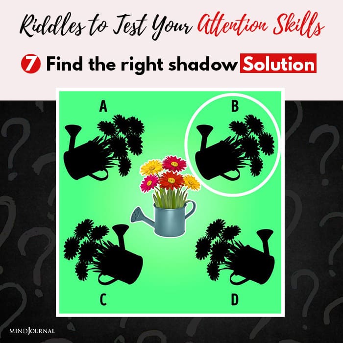 Riddles Test Attention Skills find shadow solution