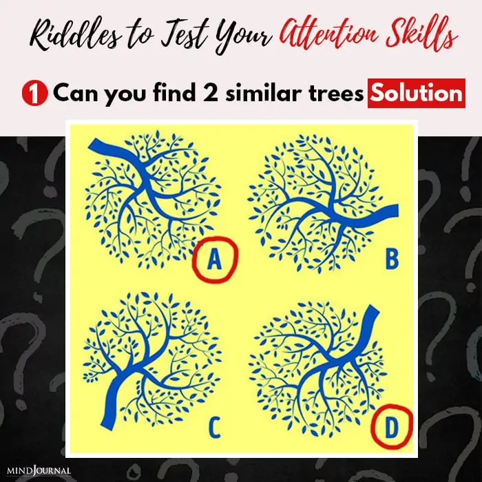 Riddles Test Attention Skills similar trees solution