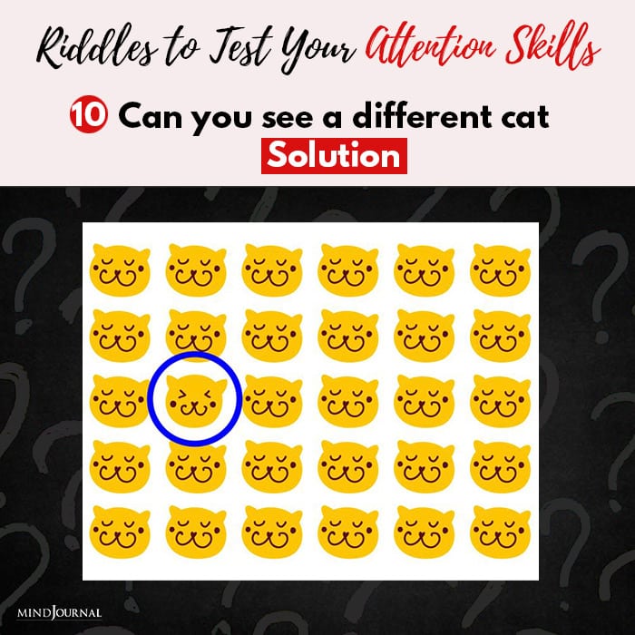 Riddles Test cat solution
