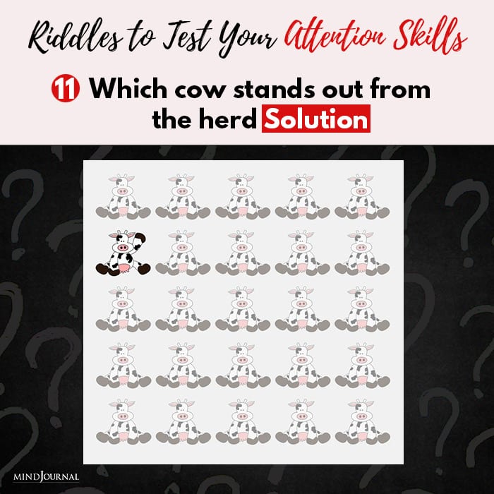Riddles Test Attention cow stands out from herd solution
