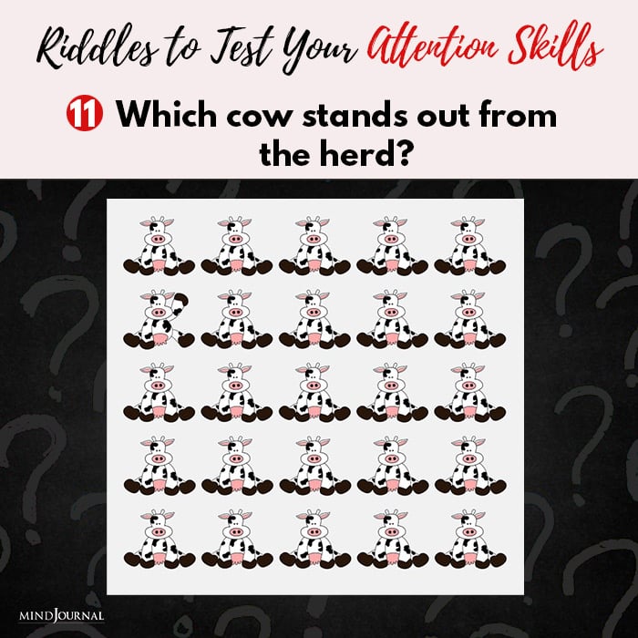 Riddles Test Attention cow stands out from herd