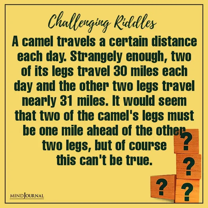 Riddles Test Thinking Power camel