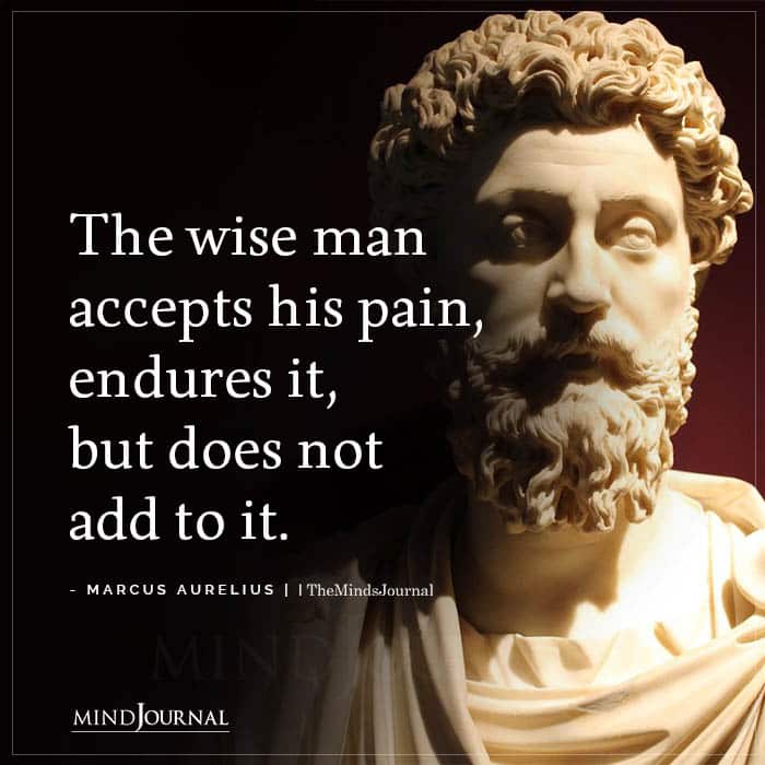 The Wise Man Accepts His Pain Endures It