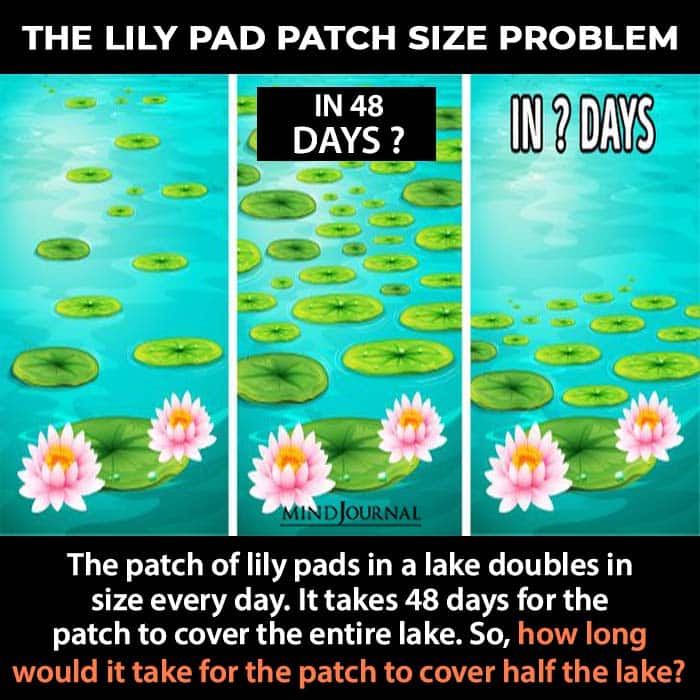 Tricky Riddles Workout Brain lilly pad patch size