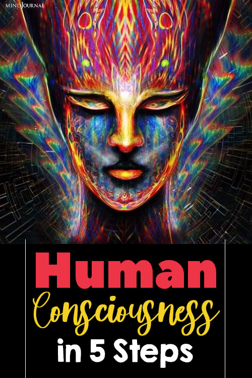 Understanding Human Consciousness pin