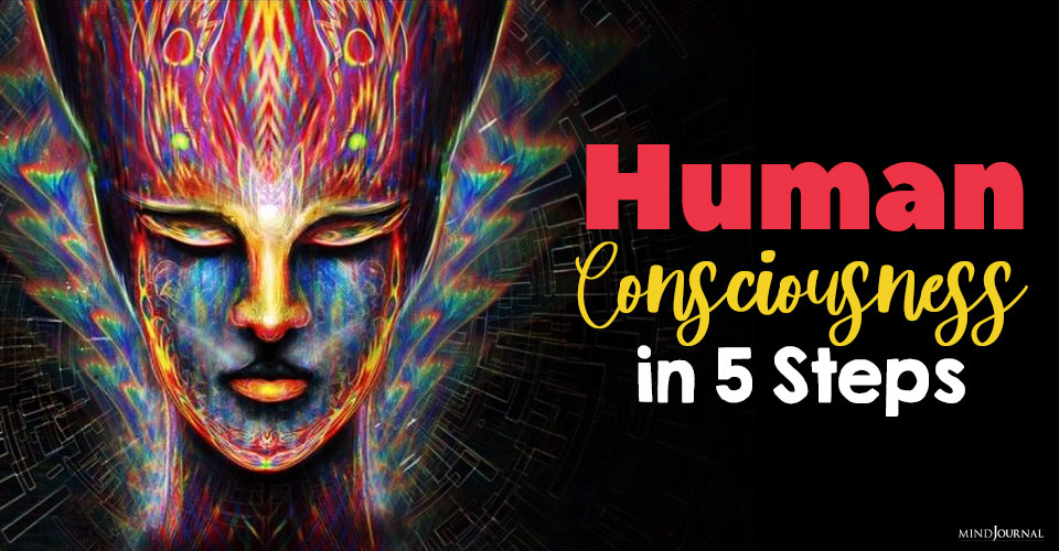 Understanding Human Consciousness In Five Basic Steps