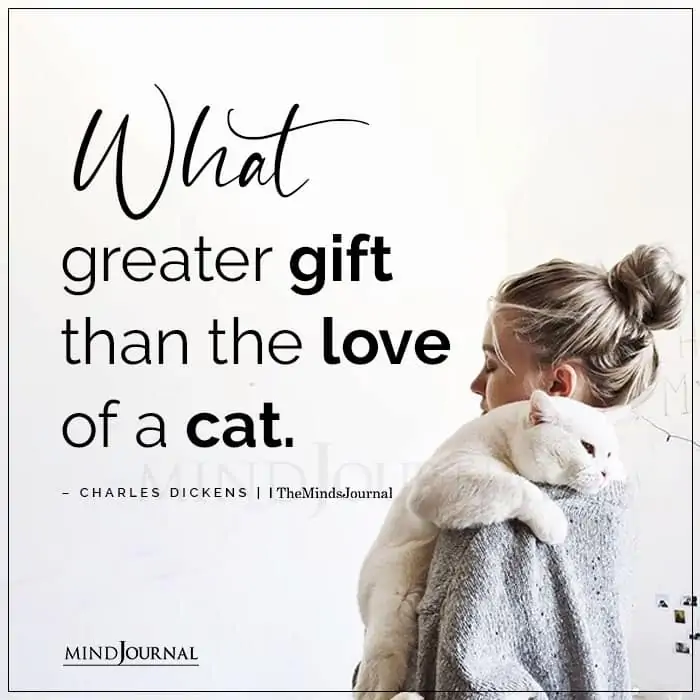 What Greater Gift Than The Love Of A Cat