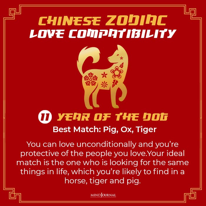 Chinese Zodiac Compatibility: Which Chinese Zodiac Personality Is Your Best Match?