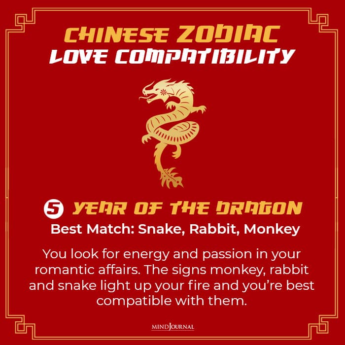 Chinese Zodiac Compatibility: Which Chinese Zodiac Personality Is Your Best Match?