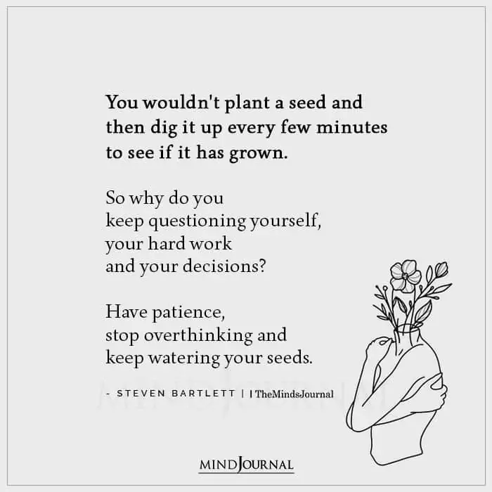 You Wouldnt Plant A Seed And Then Dig It Up