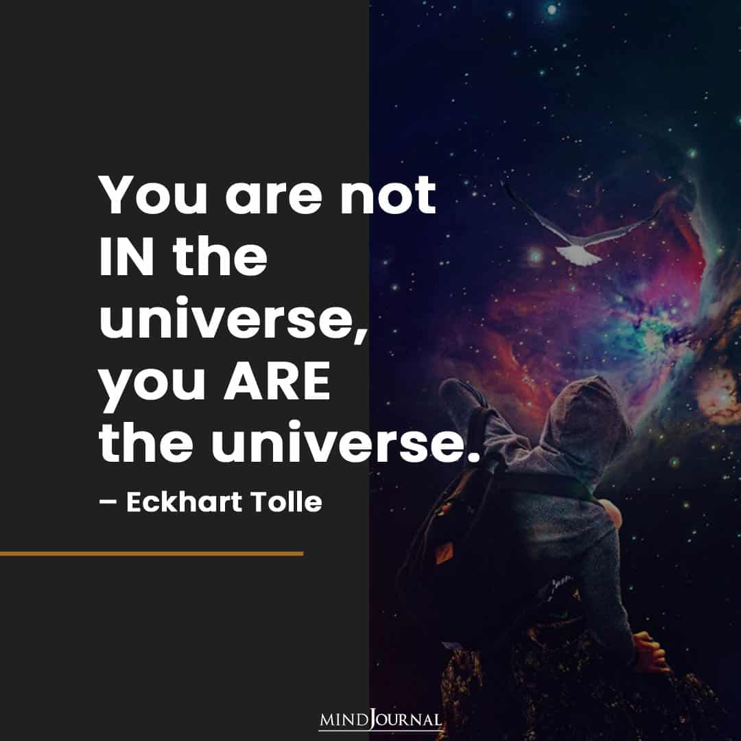 You are not IN the universe.