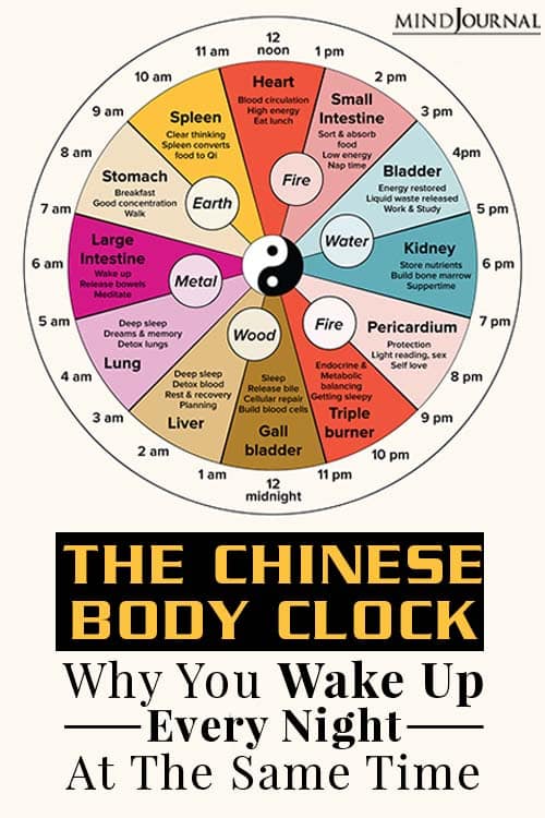 Chinese body clock pin one