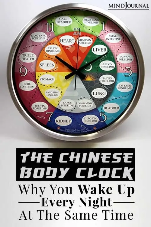 Chinese body clock  pin