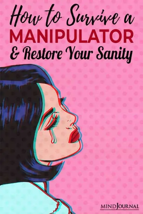 how to survive a manipulator and restore your sanity pin
